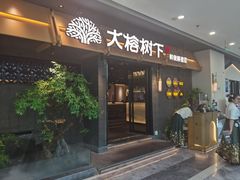 -大榕树下顺德菜(融创茂店)