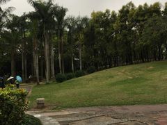 -四海公园(南山区)