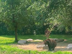 -北京野生动物园