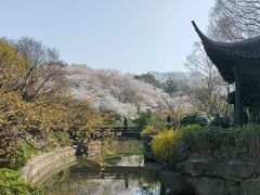 -红梅公园