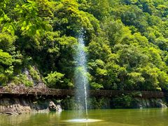 -龙湾潭国家森林公园