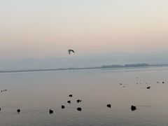 -西昌邛海湿地