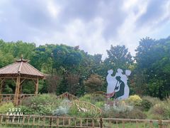 -上海共青森林公园