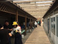 -亲兄弟真人CS团建拓展基地