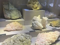-河南自然博物馆