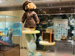 -济州岛泰迪熊博物馆