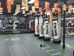 -拳力汇散打搏击泰拳俱乐部(绿地缤纷城店)
