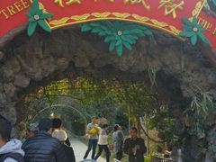 -瑞丽独树成林风景区