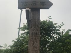 -府君山公园