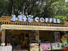 -合肥野生动物园