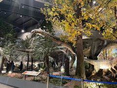 -湖南省地质博物馆