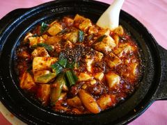 -陈麻婆豆腐总店