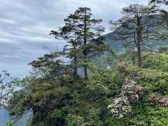 -峨眉山风景名胜区