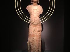 -四川大学博物馆