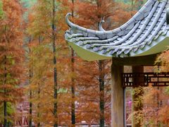 -广州市石门国家森林公园