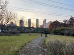 -九里河湿地公园