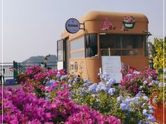 -望湖烤鱼
