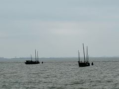 -贡湖湾湿地公园