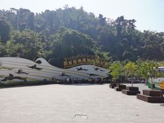 -西双版纳原始森林公园