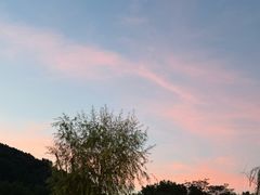 -姚江春中餐厅·太平洋大酒店