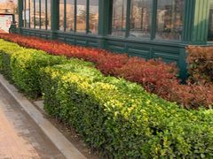 -永平路(地铁站)