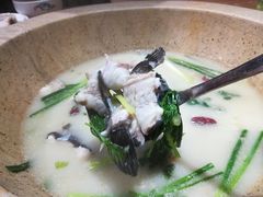 -鲜呦蒸汽石锅鱼(北辰路店)
