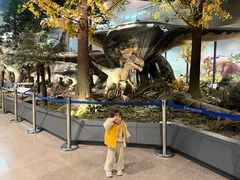 -湖南省地质博物馆