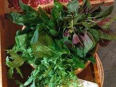 -野山舂·贵州现舂酸汤牛肉(鸿通城店)