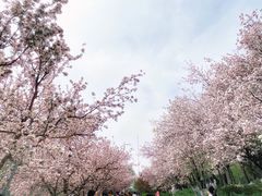-元大都城垣遗址公园