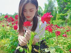 -白鹭湾湿地公园