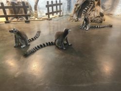 -Zoolung Zoolung动物主题公园(海信广场店)