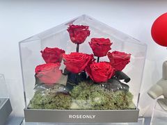-ROSEONLY诺誓(广州K11店)