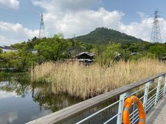 -西湖风景区-江洋畈生态公园