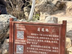 -莲湖公园