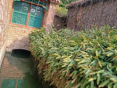 -趵突泉景区