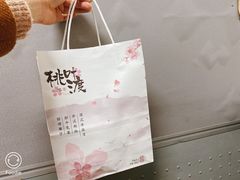 -桃源村(南大店)