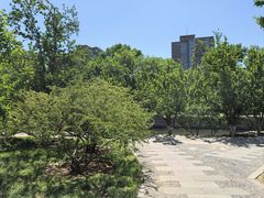 -元大都城垣遗址公园