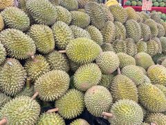 -芽笼