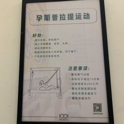 -1001普拉提运动
