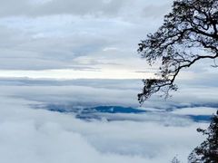 -张家界天门山国家森林公园