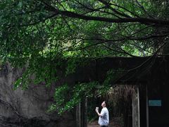 -燕晗山郊野公园