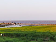 -南汇嘴观海公园