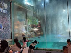 -帝企鹅自助餐厅•儿童岛•真企鹅(长隆企鹅酒店)