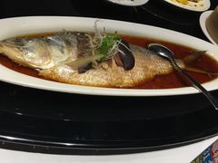-丰收日(五角场店)