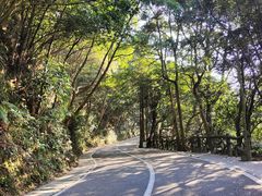 -梧桐山风景名胜区