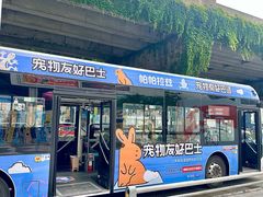 -帕帕拉兹宠物(亚洲旗舰店)