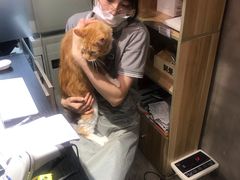 -PETKIT小佩宠物(昭化店)