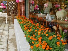 -贝贝宠物乐园(常青花园店)