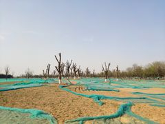 -汉长安城未央宫国家考古遗址公园