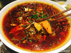 -庆合府重庆大排档(紫都城店)